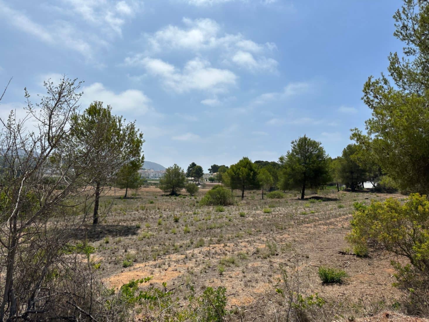 Undeveloped Land for sale in Moraira - € 90,000 (Ref: 9165323)