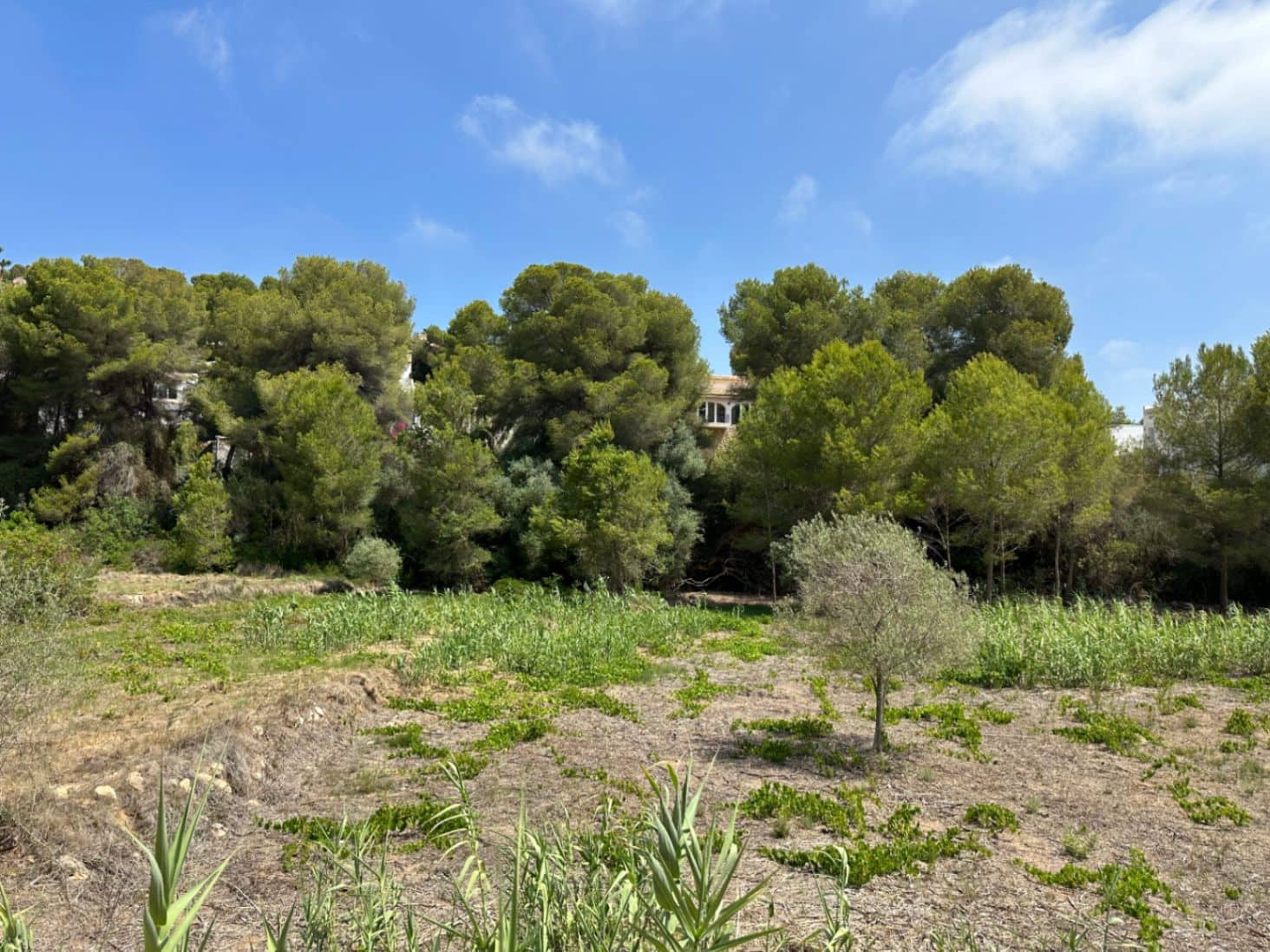 Undeveloped Land for sale in Moraira - € 90,000 (Ref: 9165323)