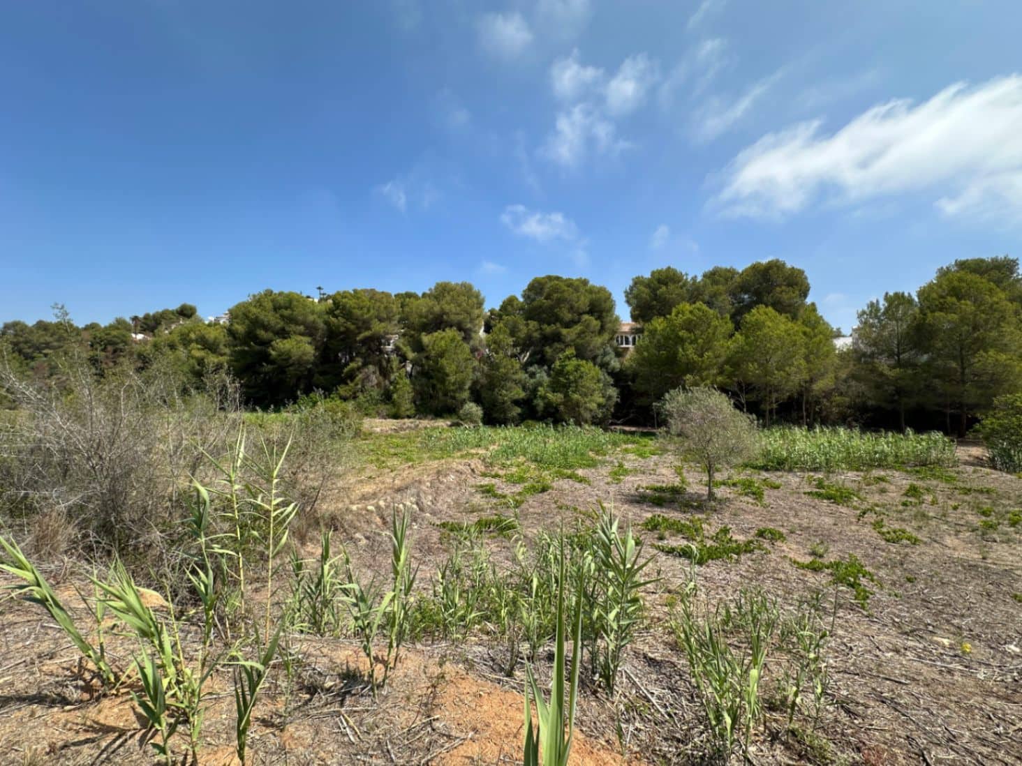 Undeveloped Land for sale in Moraira - € 90,000 (Ref: 9165323)