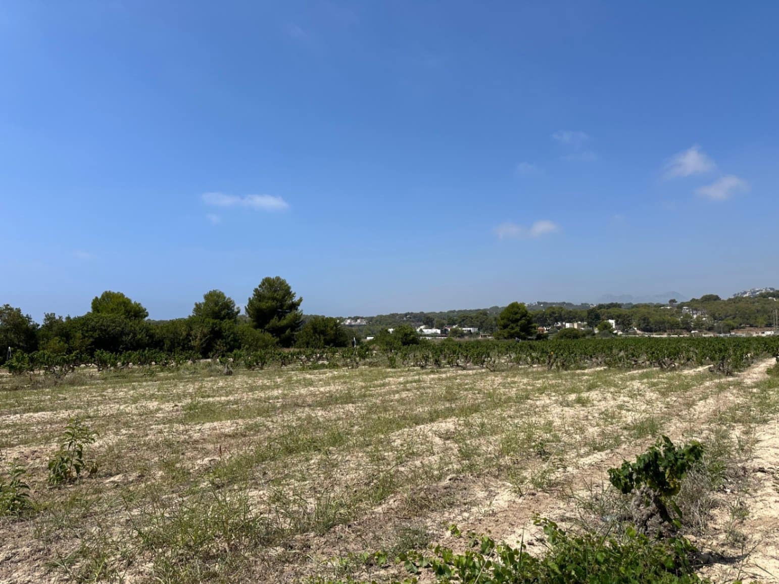 Undeveloped Land for sale in Moraira - € 90,000 (Ref: 9165323)