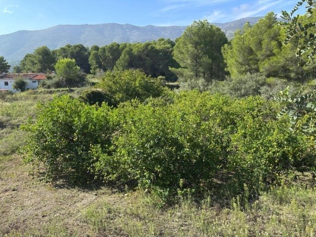 Bouwgrond te koop in Parcent - € 95.000 (Ref: 9302800)