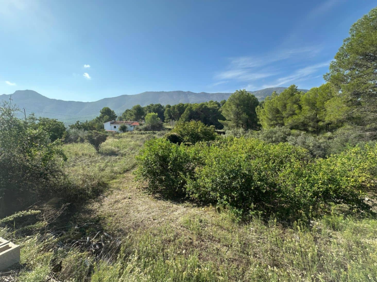 Byggetomt til salgs i Parcent - € 95 000 (Ref: 9302800)