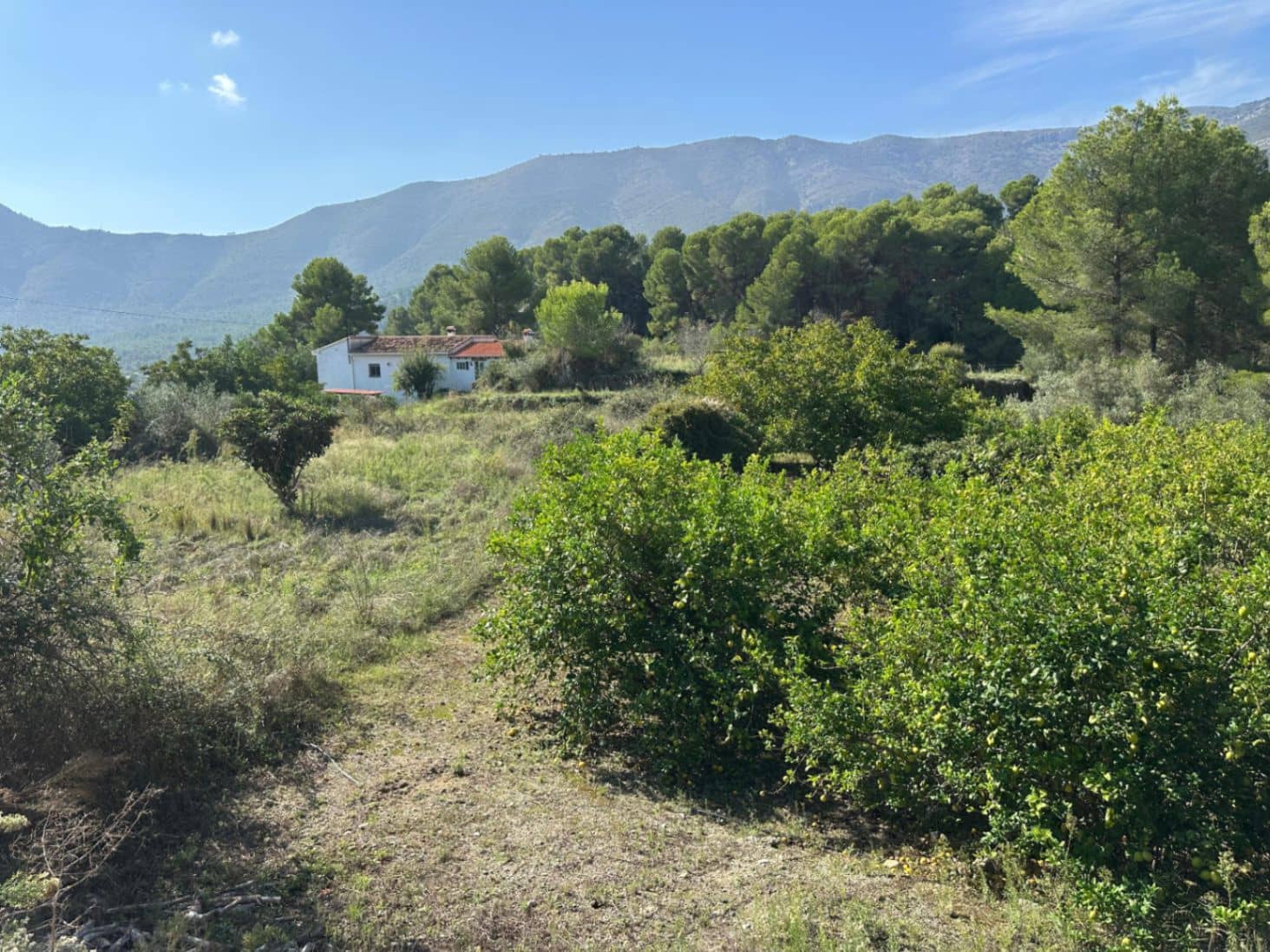 Byggetomt til salgs i Parcent - € 95 000 (Ref: 9302800)