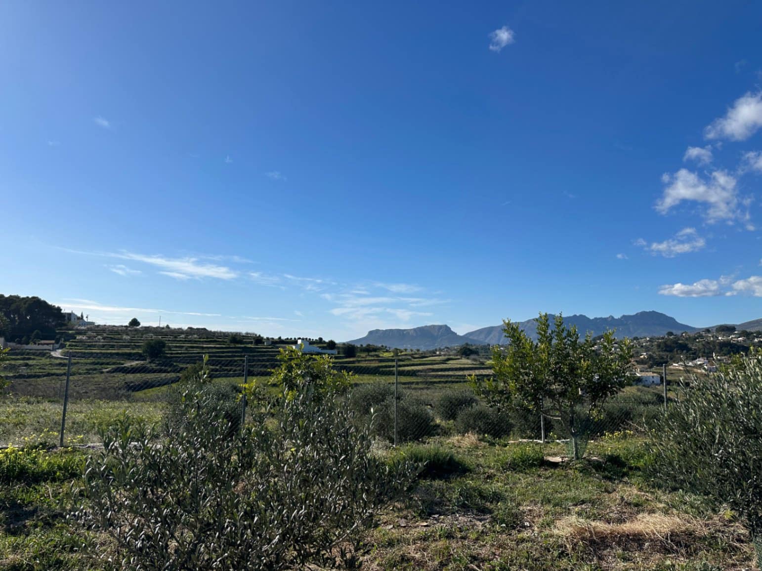 Grunde uden byggetilladelser til salg i Teulada - € 219.900 (Ref: 9447368)