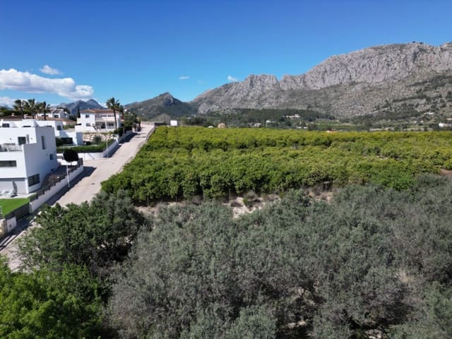 Undeveloped Land for sale in Ondara - € 210,000 (Ref: 9447369)