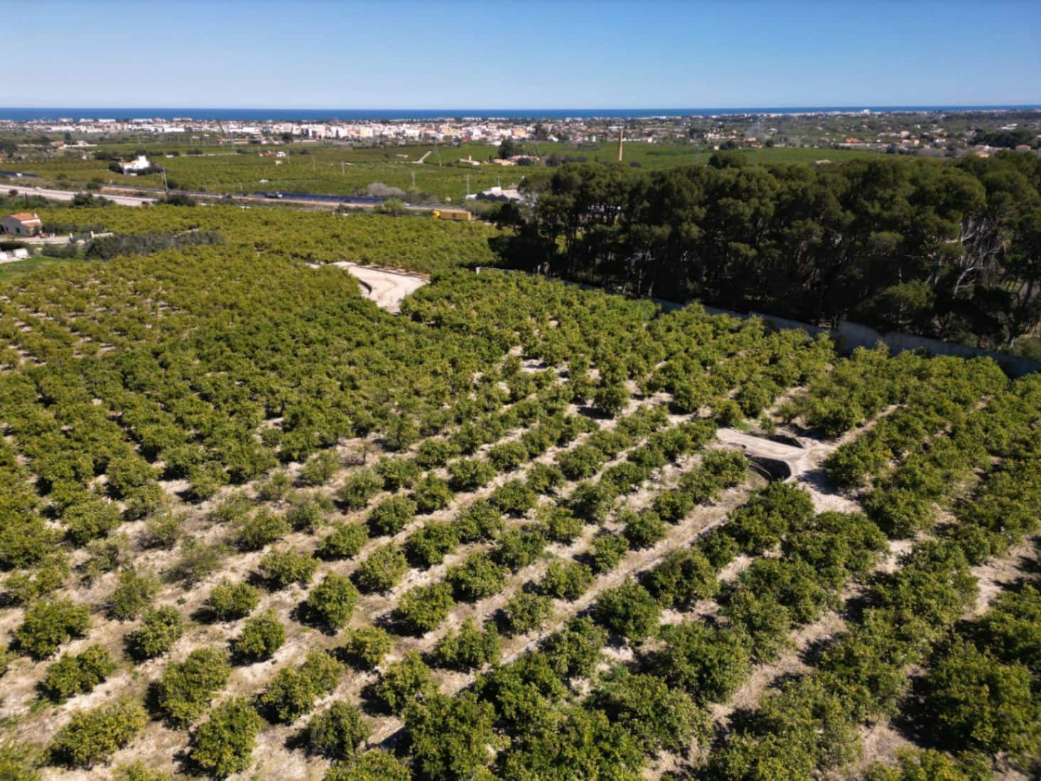 Undeveloped Land for sale in Ondara - € 210,000 (Ref: 9447369)