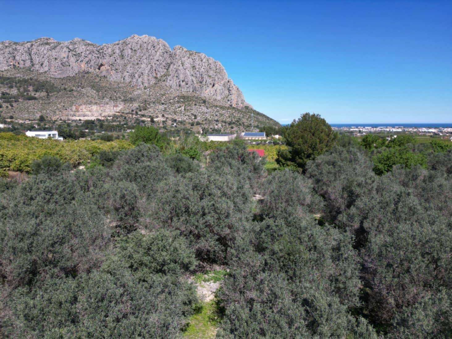 Undeveloped Land for sale in Ondara - € 210,000 (Ref: 9447369)