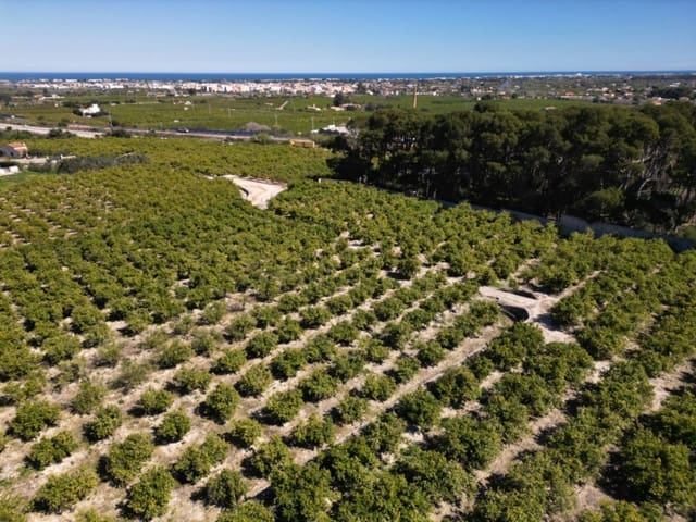 Undeveloped Land for sale in Ondara - € 210,000 (Ref: 9447369)