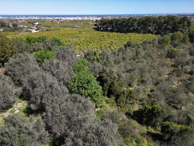 Undeveloped Land for sale in Ondara - € 210,000 (Ref: 9447369)
