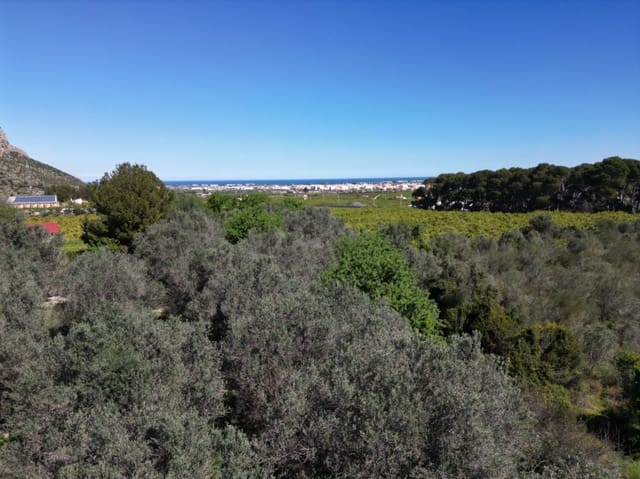 Undeveloped Land for sale in Ondara - € 210,000 (Ref: 9447369)