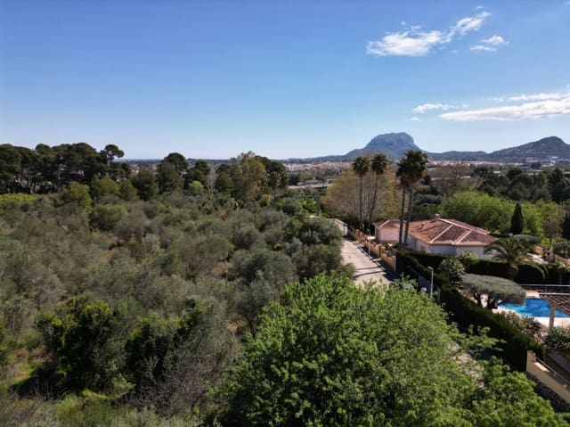 Undeveloped Land for sale in Ondara - € 210,000 (Ref: 9447369)