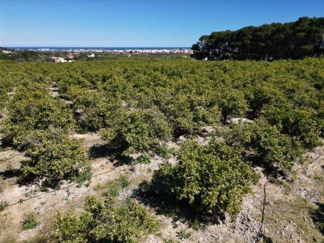 Undeveloped Land for sale in Ondara - € 210,000 (Ref: 9447369)