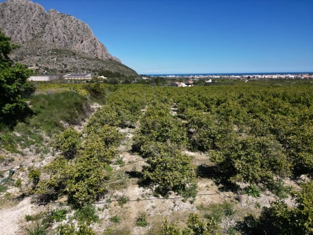 Undeveloped Land for sale in Ondara - € 210,000 (Ref: 9447369)
