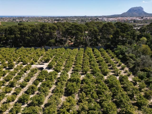 Undeveloped Land for sale in Ondara - € 210,000 (Ref: 9447369)