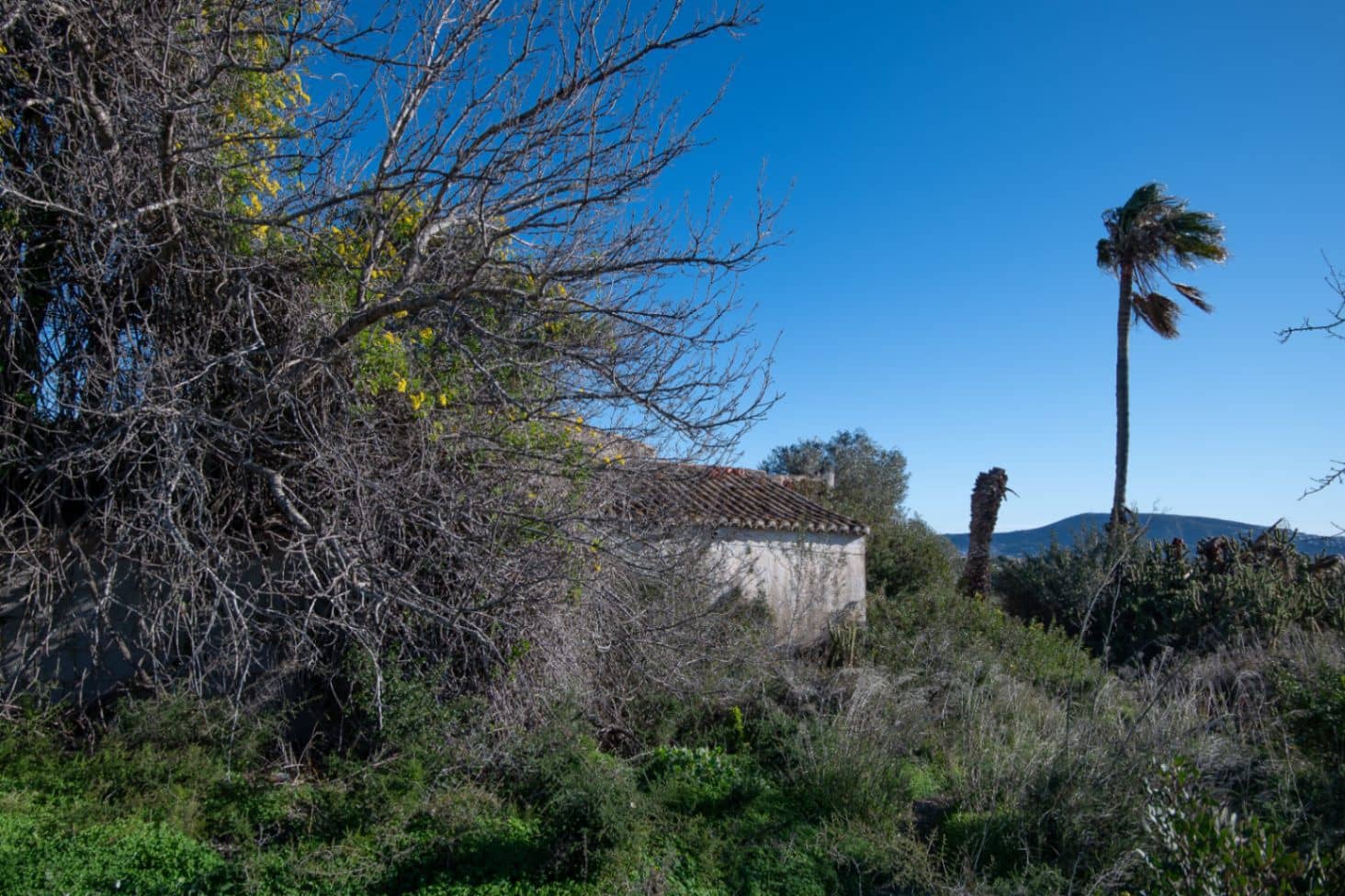 3 quarto Quinta/Casa Rural para venda em Teulada - 260 000 € (Ref: 9534912)