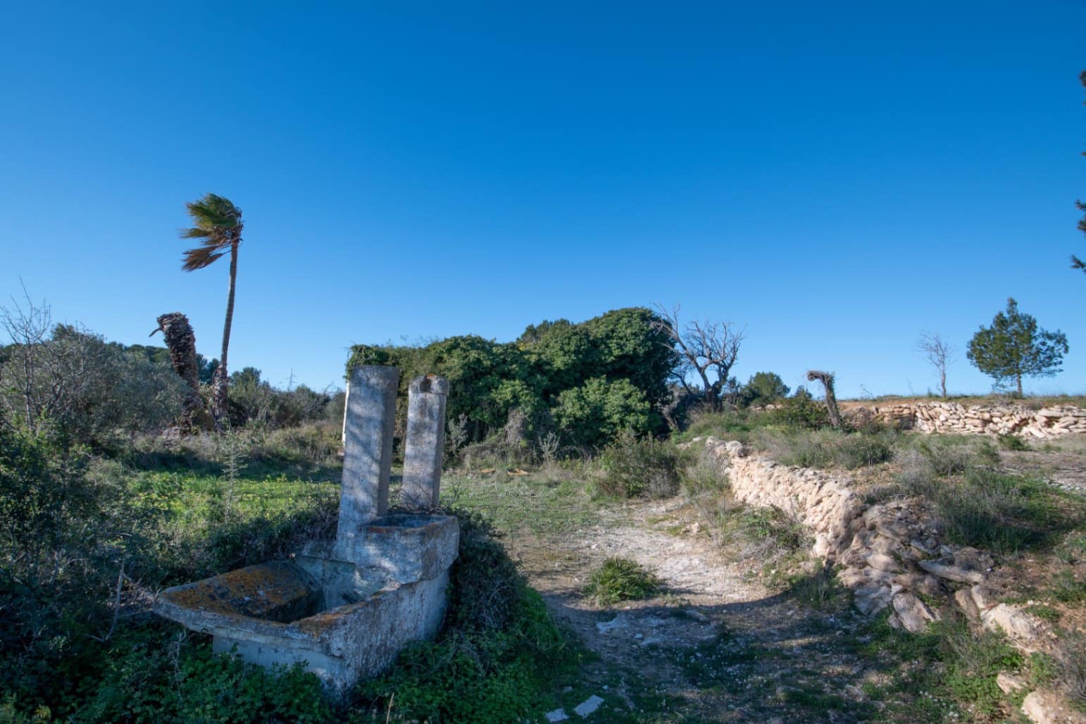 3 quarto Quinta/Casa Rural para venda em Teulada - 260 000 € (Ref: 9534912)