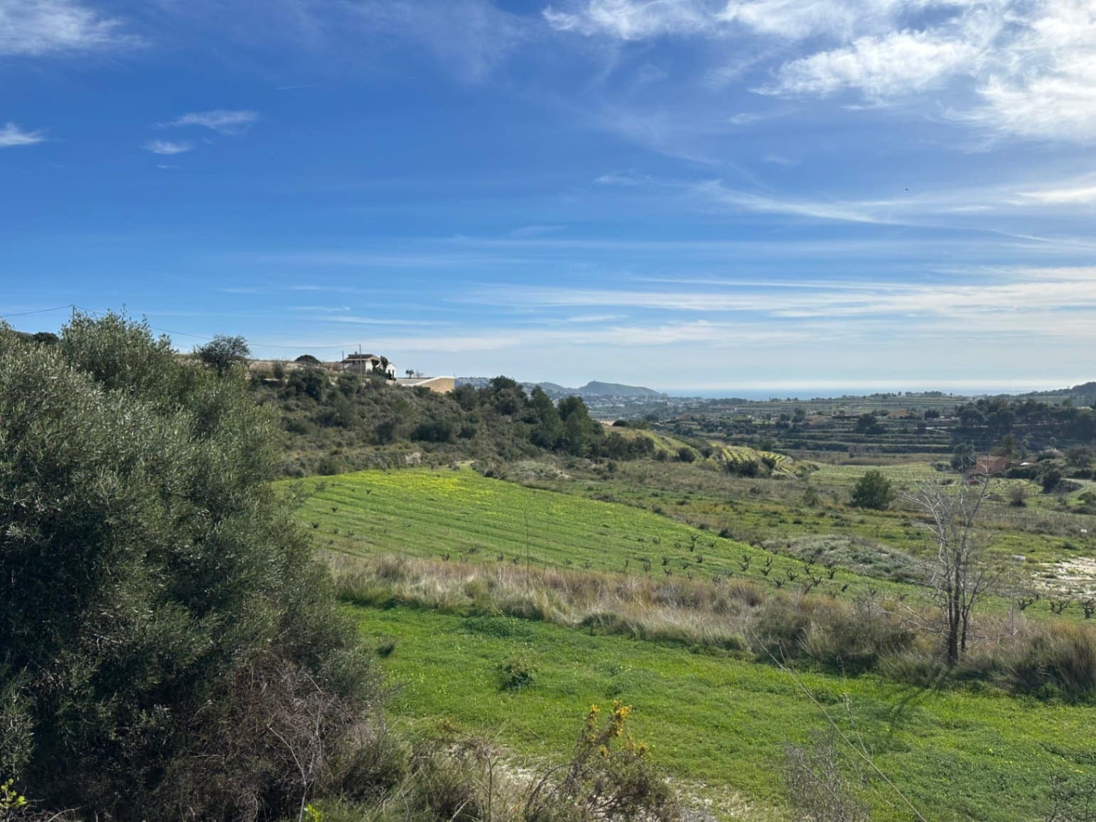 Terrain à Bâtir à vendre à Teulada - 425 000 € (Ref: 9649944)