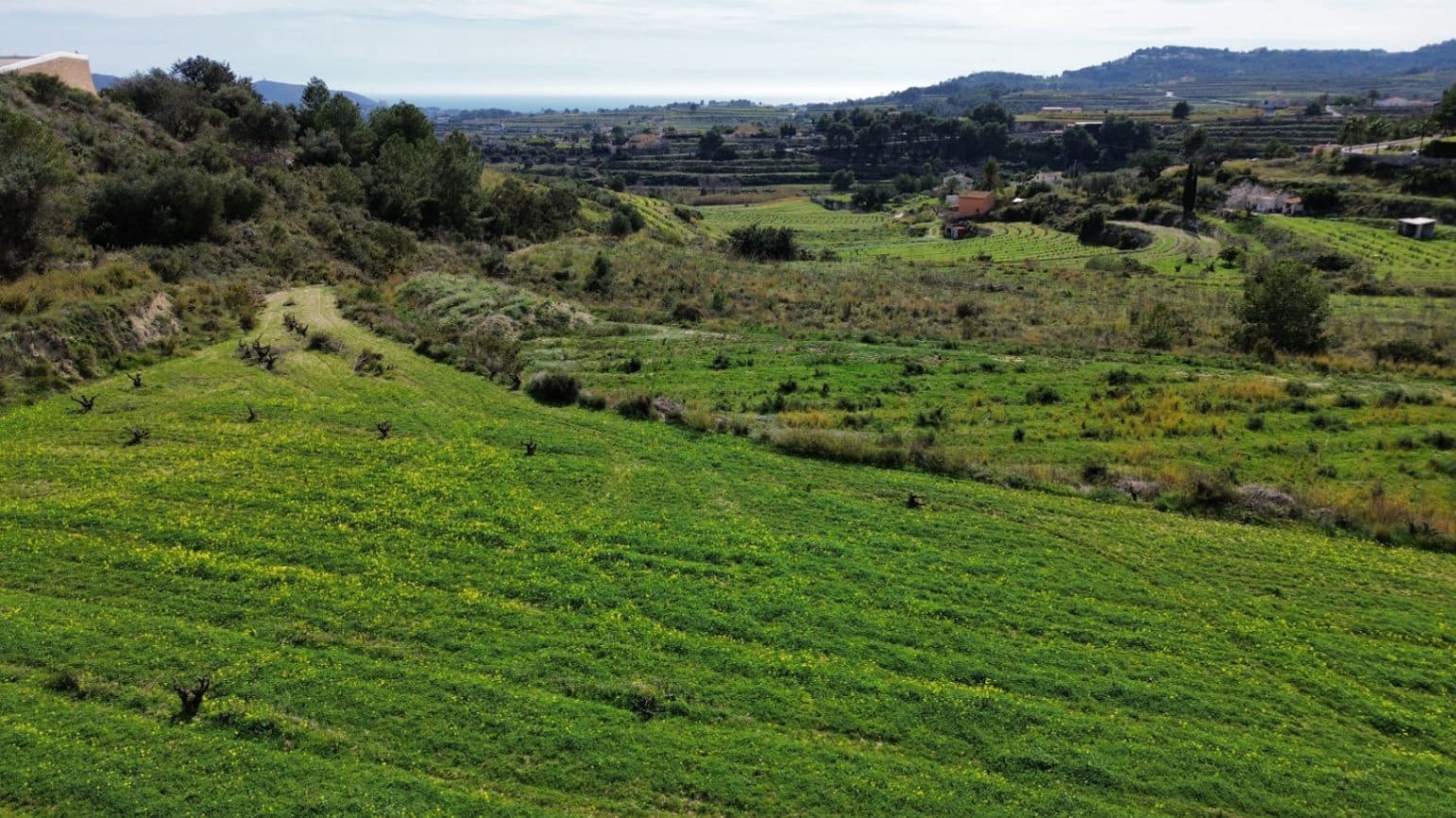 Terrain à Bâtir à vendre à Teulada - 425 000 € (Ref: 9649944)