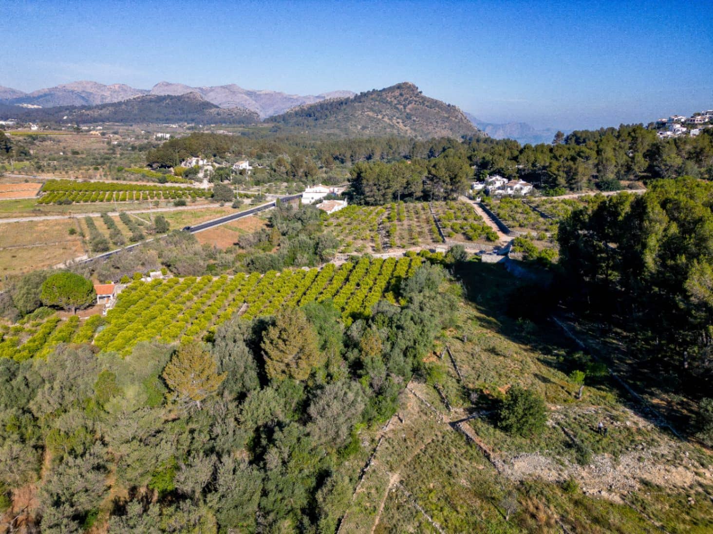 Tontti myytävänä paikassa Murla - 150 000 € (Ref: 9654265)