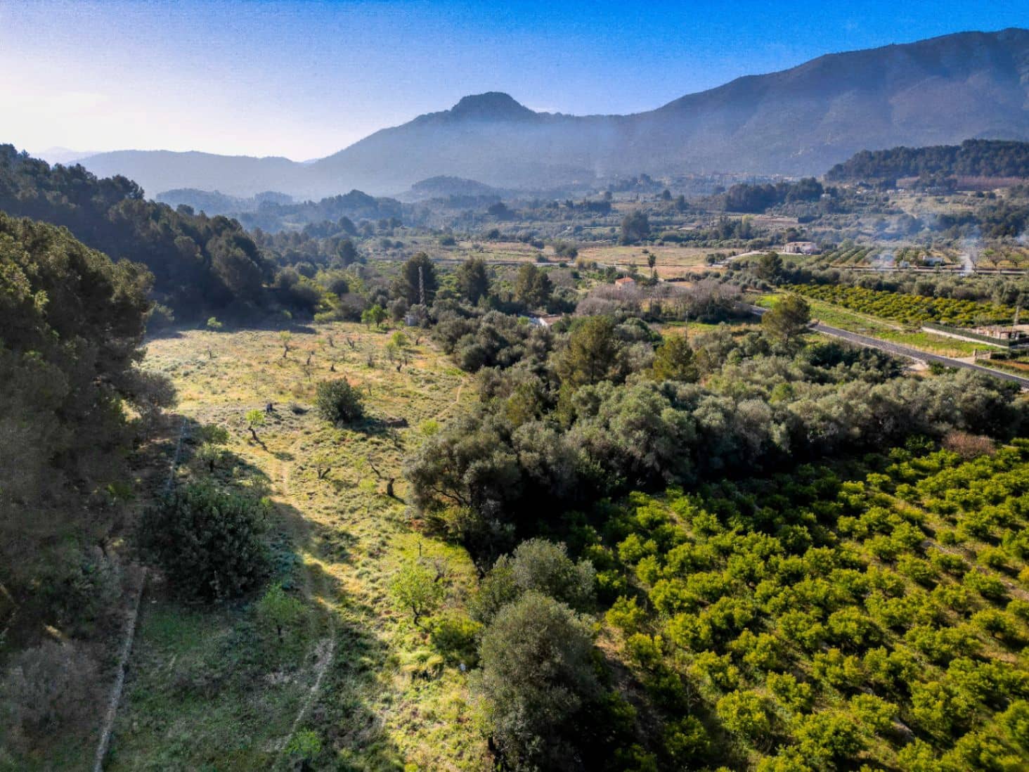 Tontti myytävänä paikassa Murla - 150 000 € (Ref: 9654265)