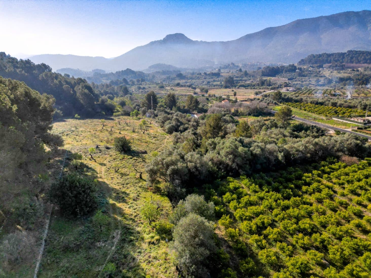 Tontti myytävänä paikassa Murla - 150 000 € (Ref: 9654265)