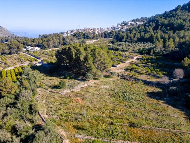 Bauplatz zu verkaufen in Murla - 150.000 € (Ref: 9654265)