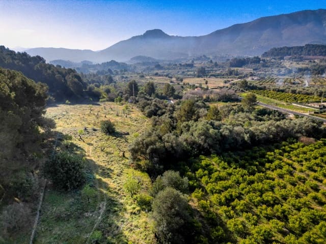 Bauplatz zu verkaufen in Murla - 150.000 € (Ref: 9654265)