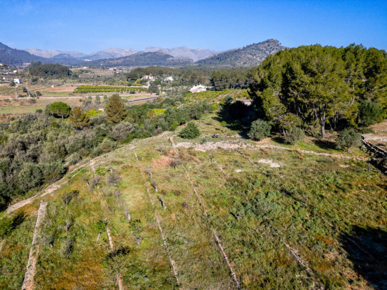 Tontti myytävänä paikassa Murla - 150 000 € (Ref: 9654265)