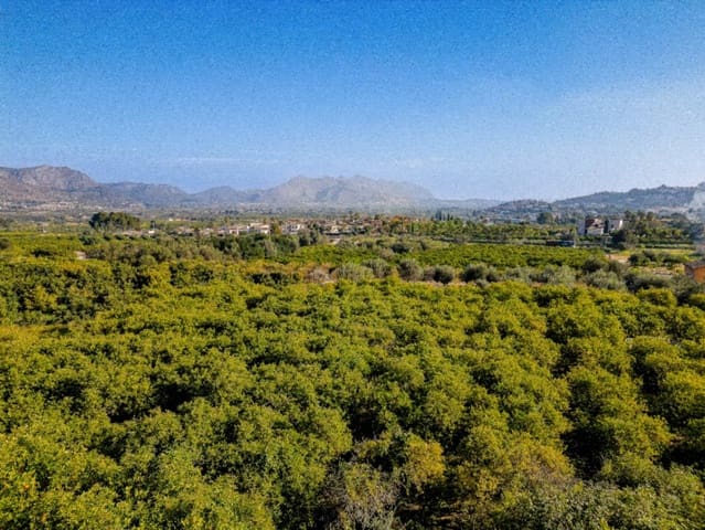 Działka budowlana na sprzedaż w Orba - 178 000 € (Ref: 9654266)