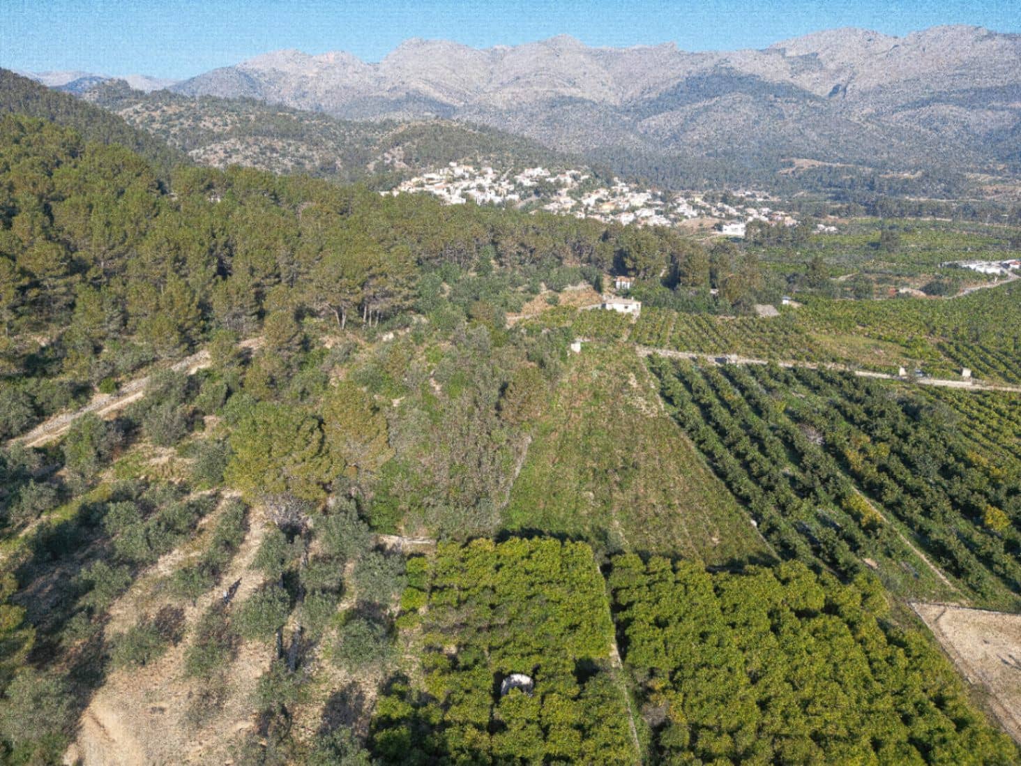 Działka budowlana na sprzedaż w Orba - 178 000 € (Ref: 9654266)