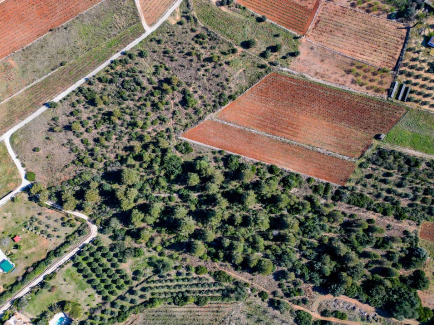 Terreno para Construção para venda em Jalon / Xalo - 350 000 € (Ref: 9654436)