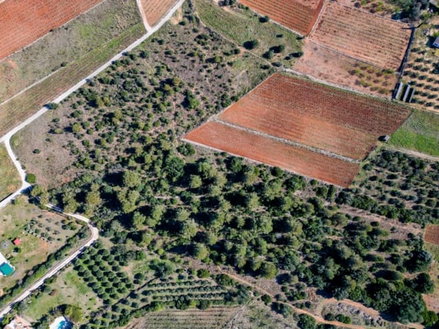 Terreno para Construção para venda em Jalón / Xaló - 350 000 € (Ref: 9654436)