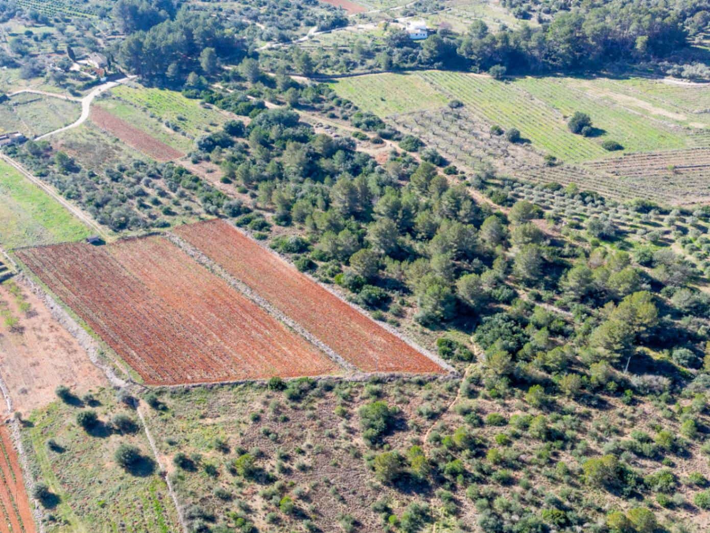 Terreno para Construção para venda em Jalon / Xalo - 350 000 € (Ref: 9654436)