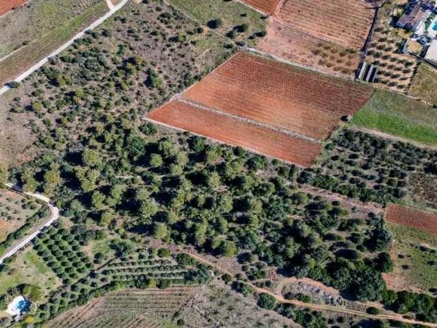 Terreno para Construção para venda em Jalón / Xaló - 350 000 € (Ref: 9654436)