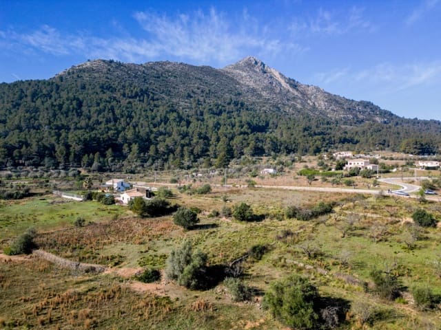 Terreno para Construção para venda em Murla - 120 000 € (Ref: 9654437)