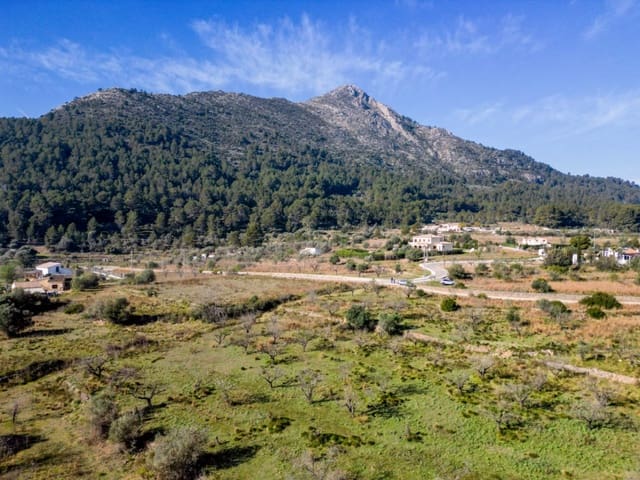 Terreno para Construção para venda em Murla - 120 000 € (Ref: 9654437)