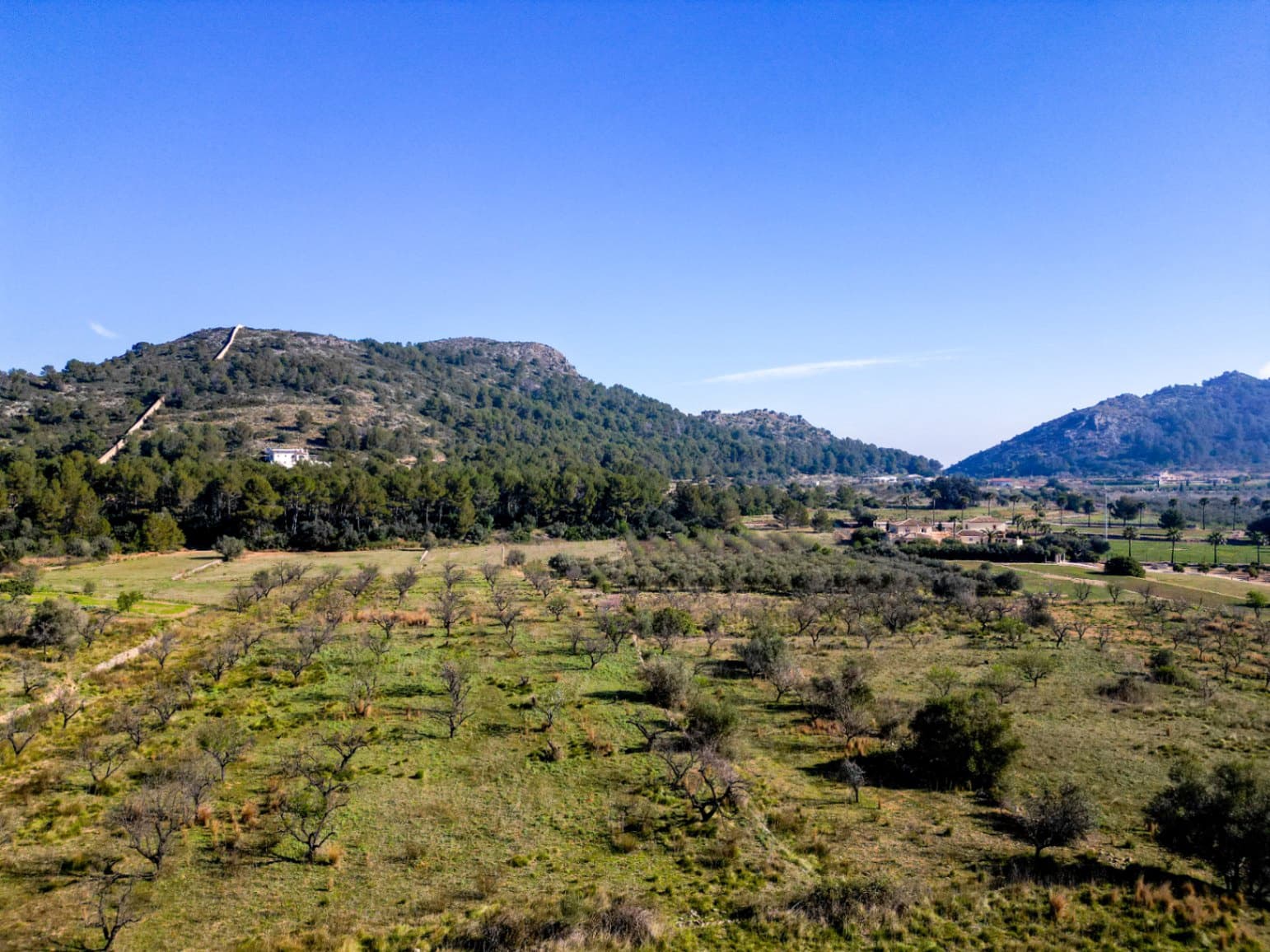 Tontti myytävänä paikassa Murla - 120 000 € (Ref: 9654437)