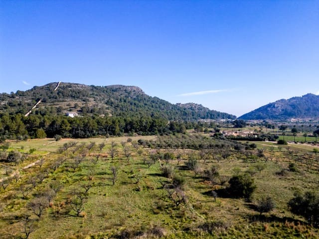 Terreno para Construção para venda em Murla - 120 000 € (Ref: 9654437)