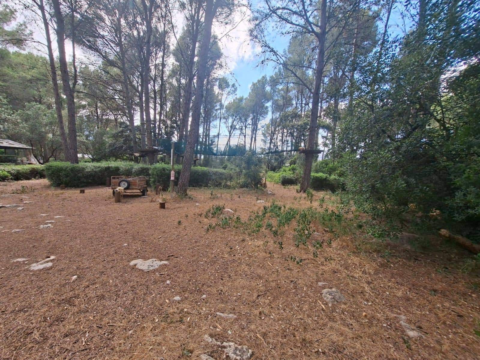Finca/Hus på landet till salu i Parcent - 250 000 € (Ref: 9969055)