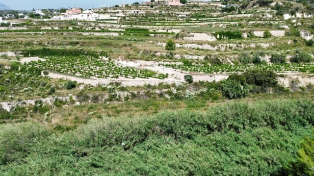 Działka budowlana na sprzedaż w Teulada Pueblo, Teulada-Moraira - 189 900 € (Ref: 9989936)