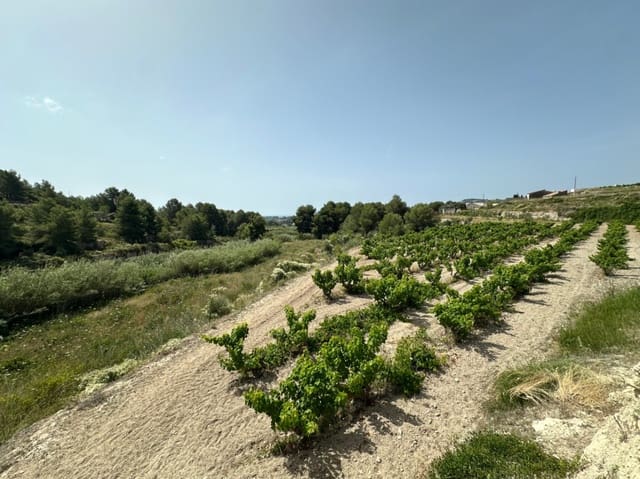 Działka budowlana na sprzedaż w Teulada Pueblo, Teulada-Moraira - 189 900 € (Ref: 9989936)