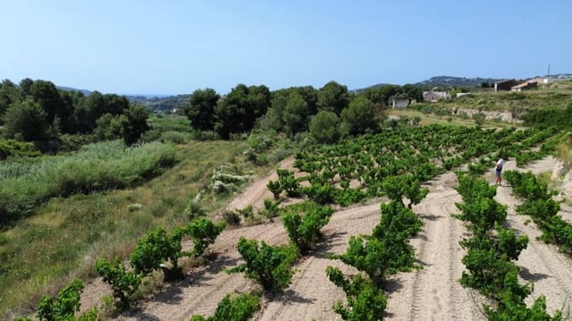 Działka budowlana na sprzedaż w Teulada Pueblo, Teulada-Moraira - 189 900 € (Ref: 9989936)