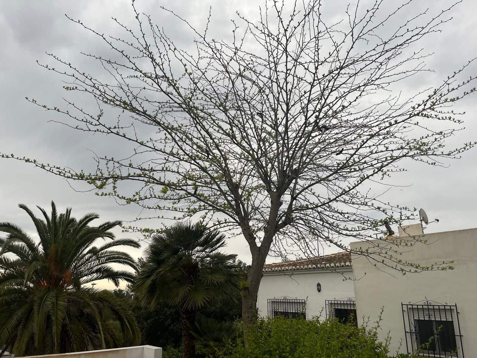 4 sovrum Villa till salu i Javea / Xabia - 670 000 € (Ref: 9888444)