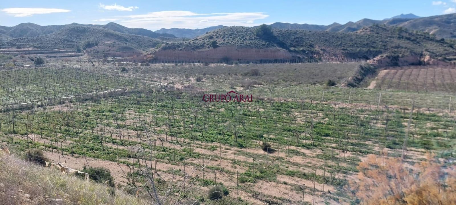 Terreno/Finca Rústica en Monforte del Cid en venta - 200.000 € (Ref: 10067850)