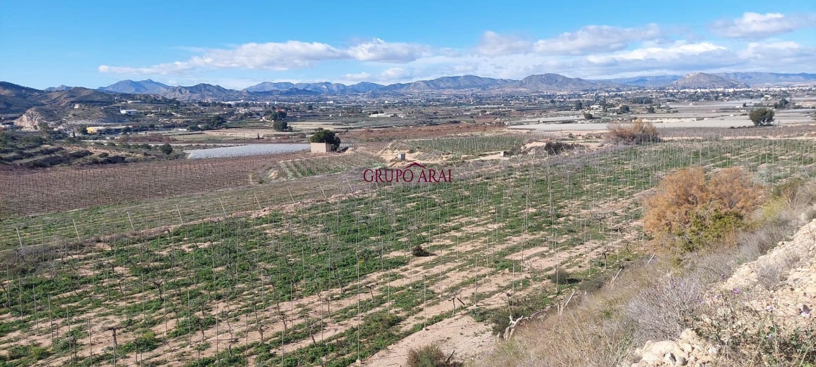 Terreno/Finca Rústica en Monforte del Cid en venta - 200.000 € (Ref: 10067850)