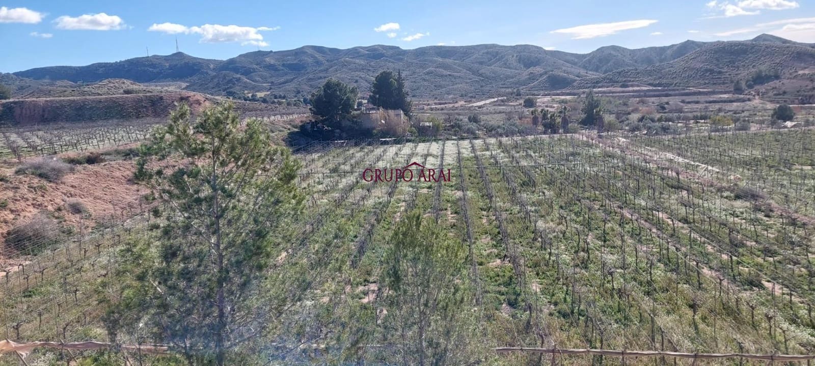 Terreno/Finca Rústica en Monforte del Cid en venta - 200.000 € (Ref: 10067850)