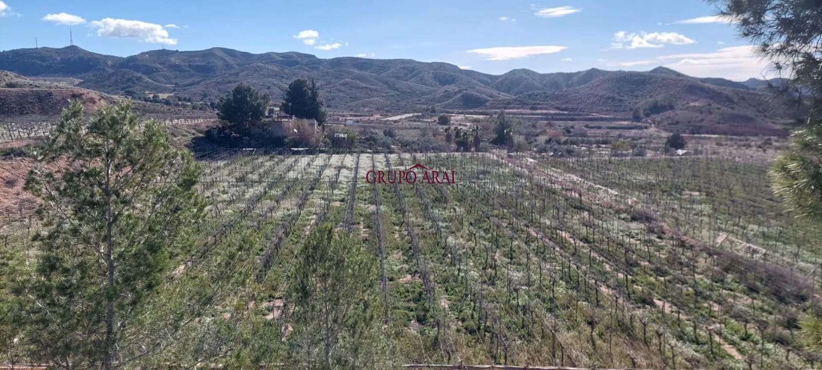 Terreno/Finca Rústica en Monforte del Cid en venta - 200.000 € (Ref: 10067850)