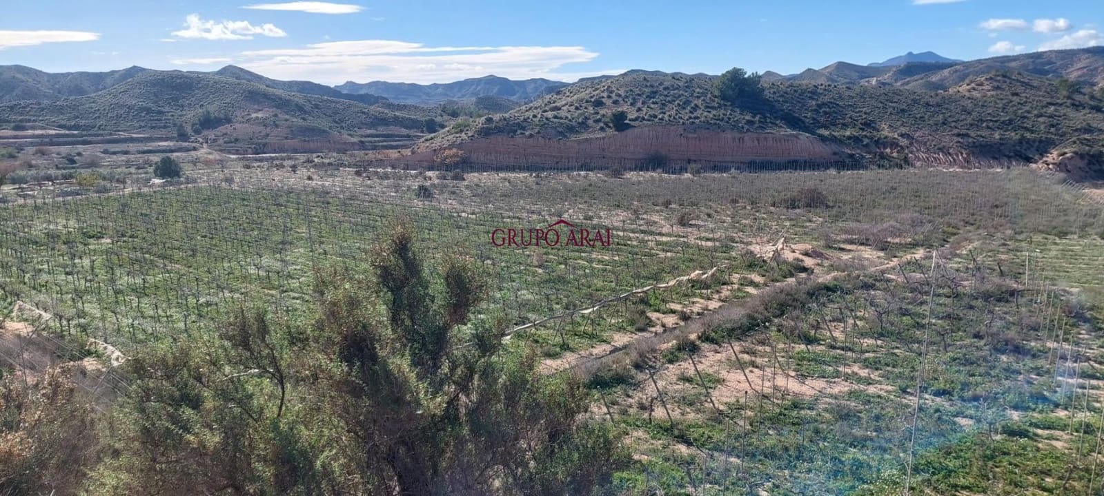 Terreno/Finca Rústica en Monforte del Cid en venta - 200.000 € (Ref: 10067850)