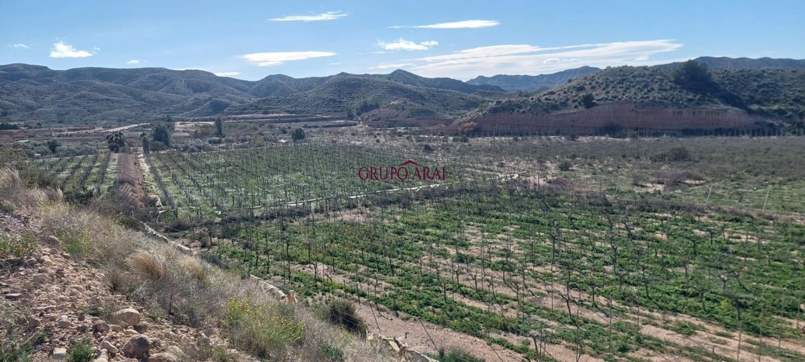 Terreno/Finca Rústica en Monforte del Cid en venta - 200.000 € (Ref: 10067850)