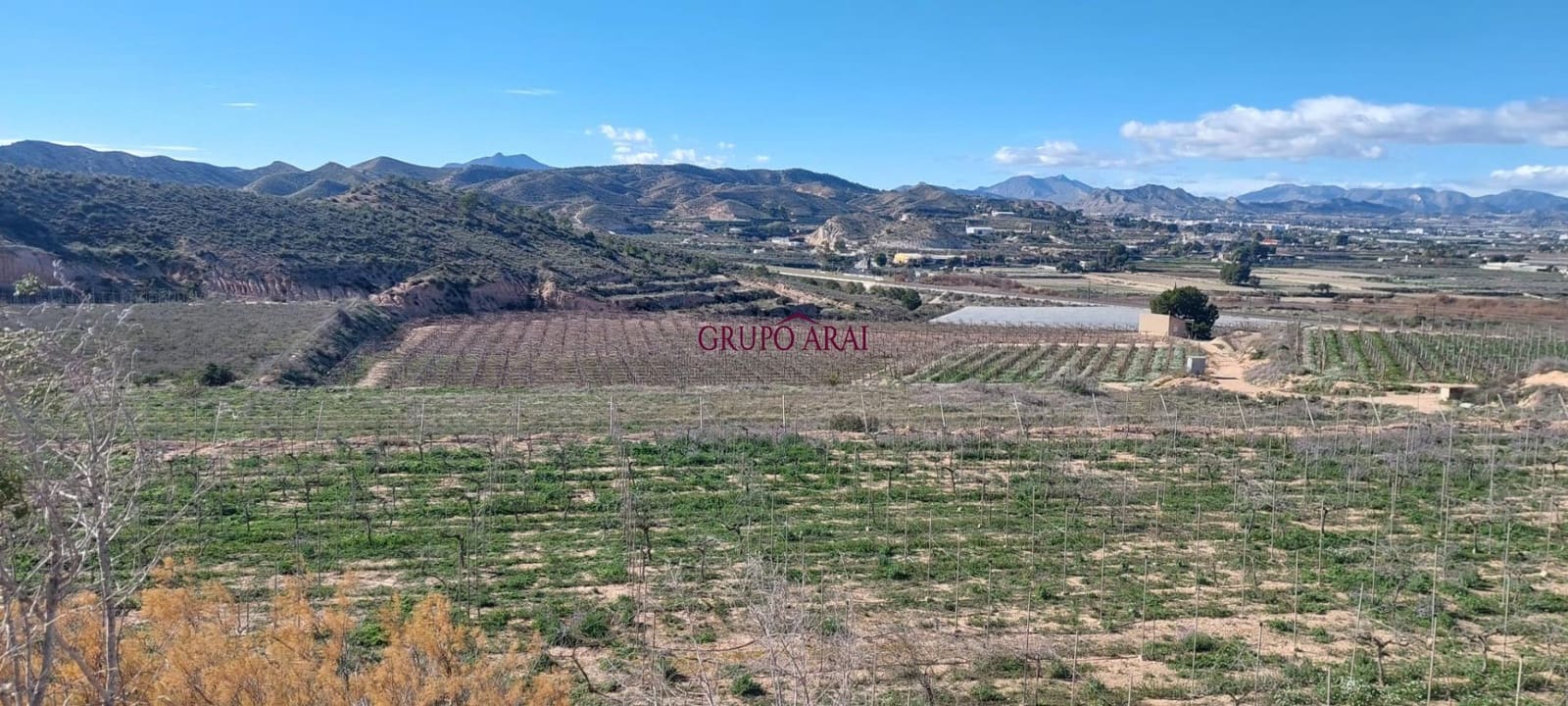 Terreno/Finca Rústica en Monforte del Cid en venta - 200.000 € (Ref: 10067850)